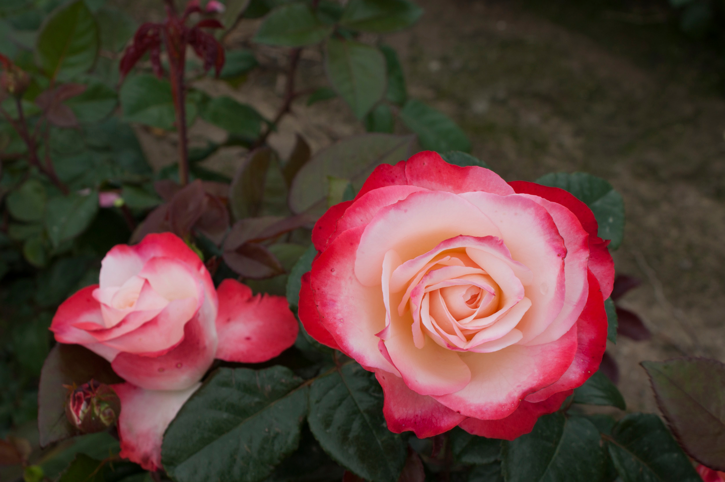 NOSTALGIE RUUSU AT 3L