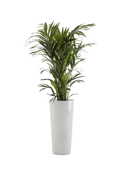 Ruukku Ecopots Amsterdam korkea 76cm valkoharmaa