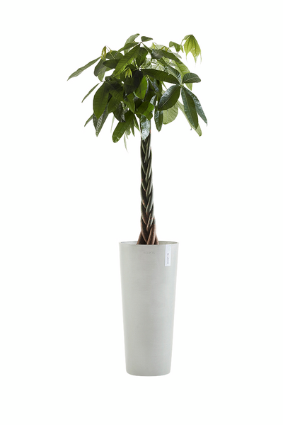 Ruukku Ecopots Amsterdam korkea 76cm valkoharmaa