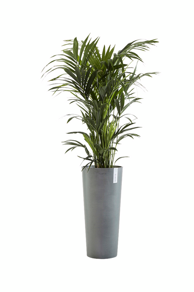 Ruukku Ecopots Amsterdam korkea 76cm harmaa