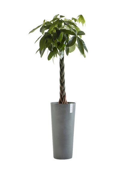 Ruukku Ecopots Amsterdam korkea 76cm harmaa