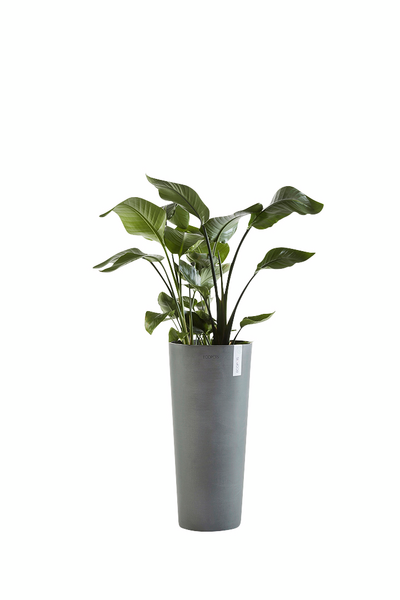Ruukku Ecopots Amsterdam korkea 76cm harmaa