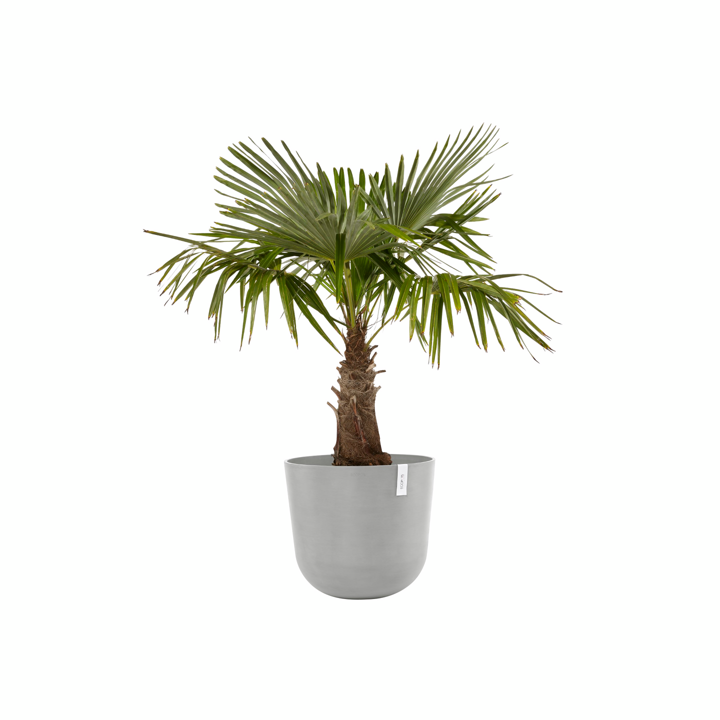 Ruukku Ecopots Oslo 55cm valkoharmaa