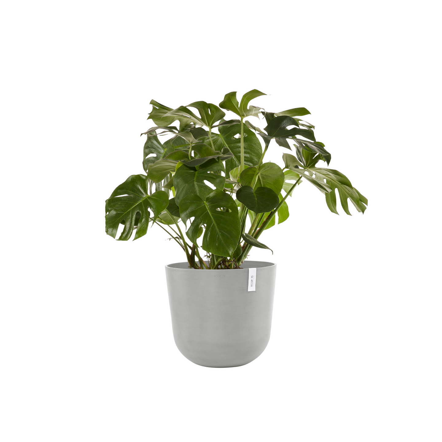 Ruukku Ecopots Oslo 55cm valkoharmaa