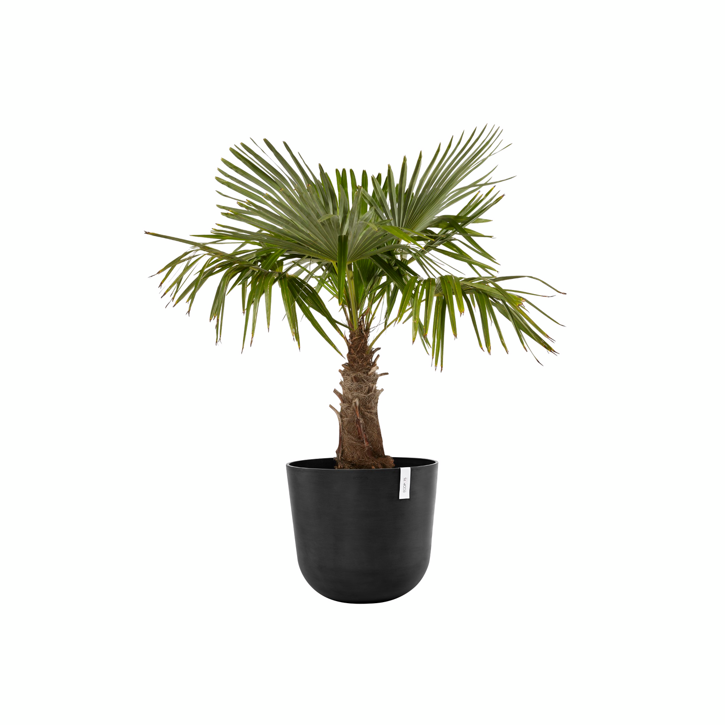 Ruukku Ecopots Oslo 55cm tummanharmaa