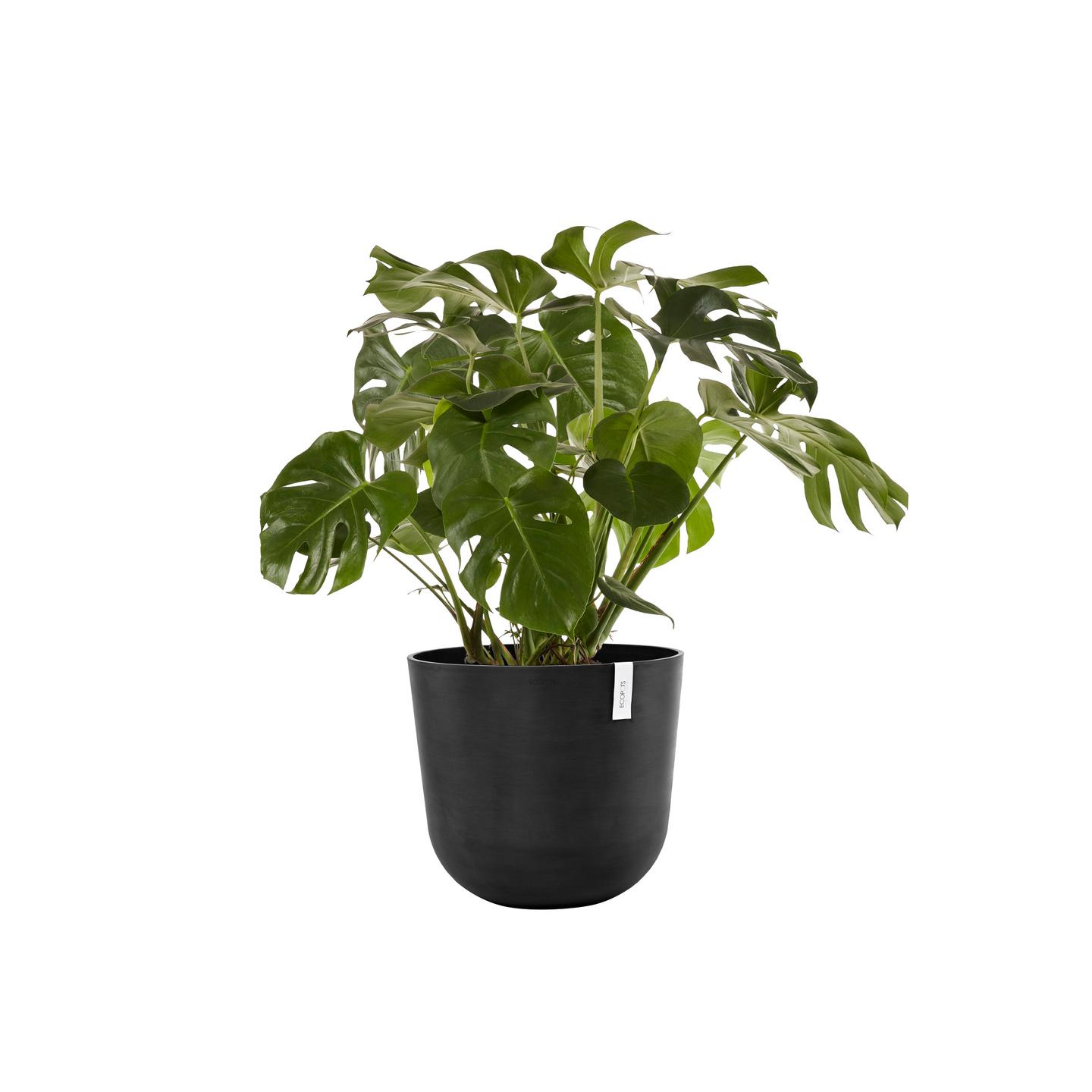 Ruukku Ecopots Oslo 55cm tummanharmaa