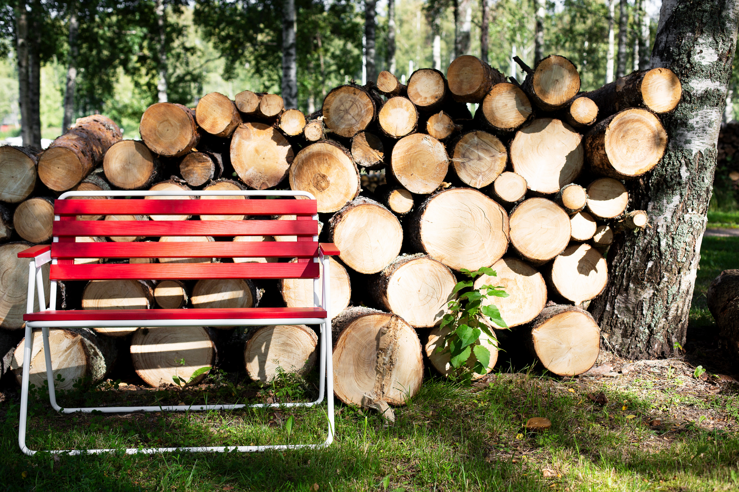 Taittopenkki Varax Retro puna/valkoinen