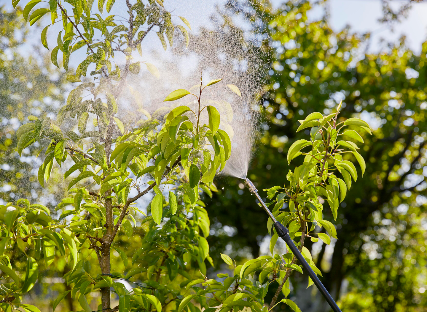 RYGGSPRUTA GARDENA 12L 11140-20