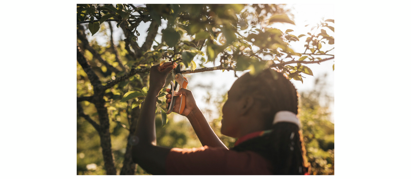 Oksasakset Fiskars plus powerlever metalli p751