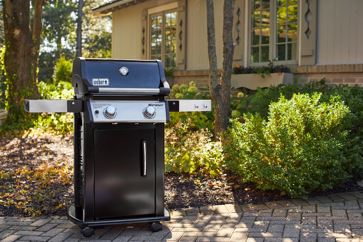 Kaasugrilli Weber Spirit E-215 GBS