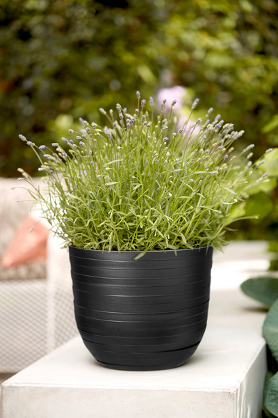 Ruukku Elho Fuente Rings 47cm musta