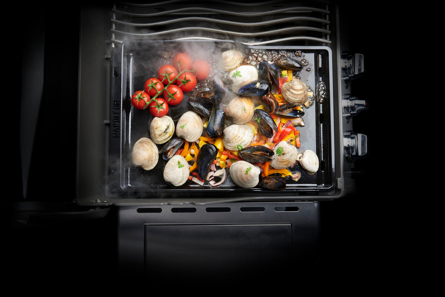 Parila plancha Napoleon