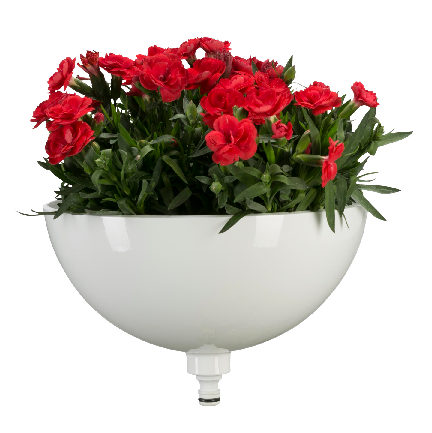 Clickup! kulho Gardena