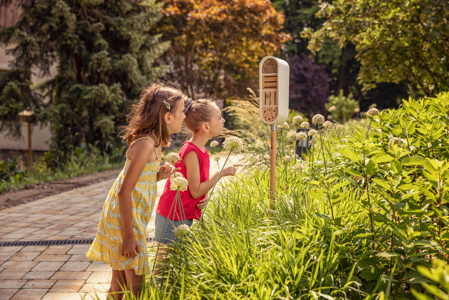 Clickup! hyönteishotelli Gardena