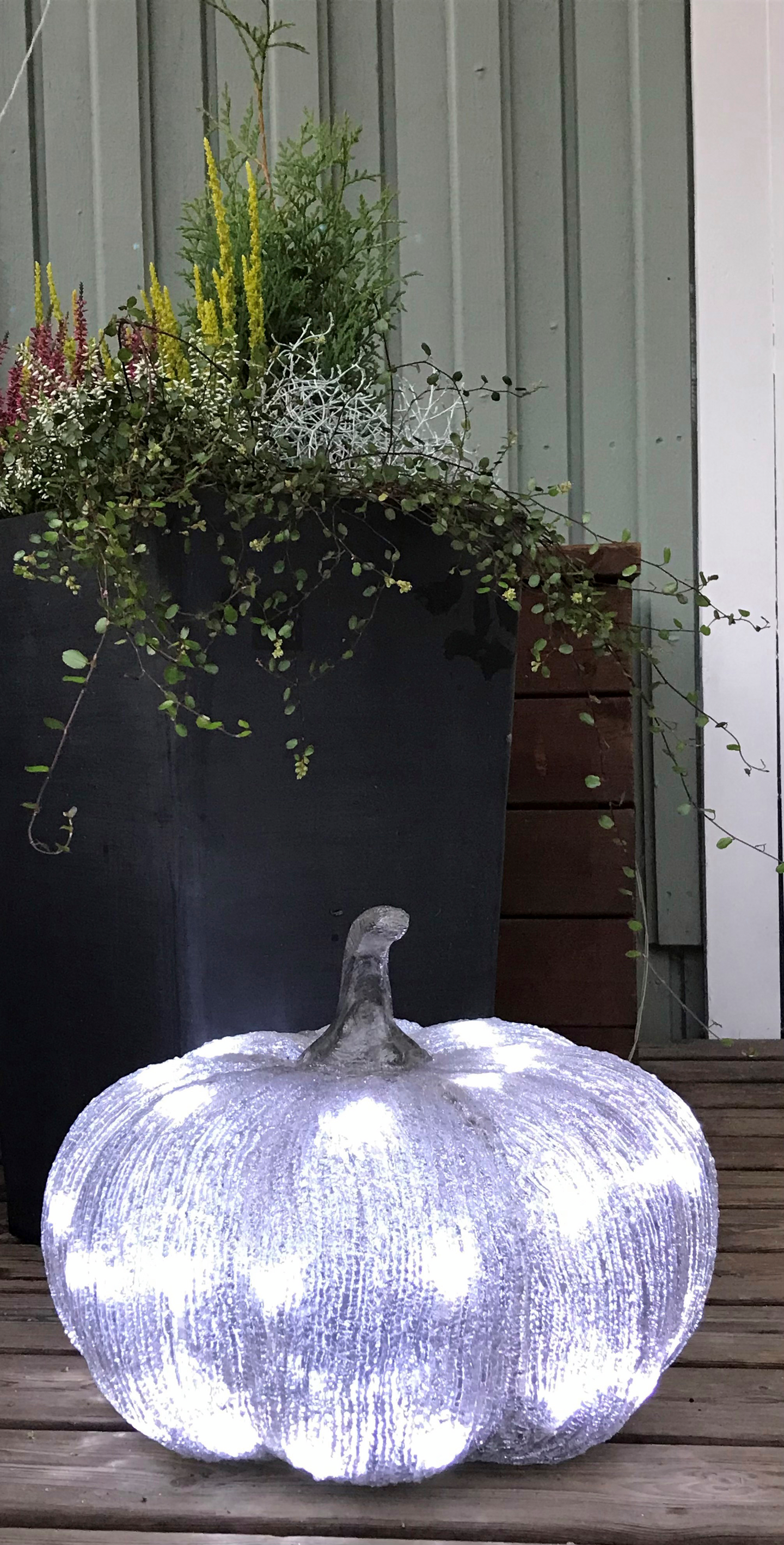 Kurpitsa Cello 26cm IP44