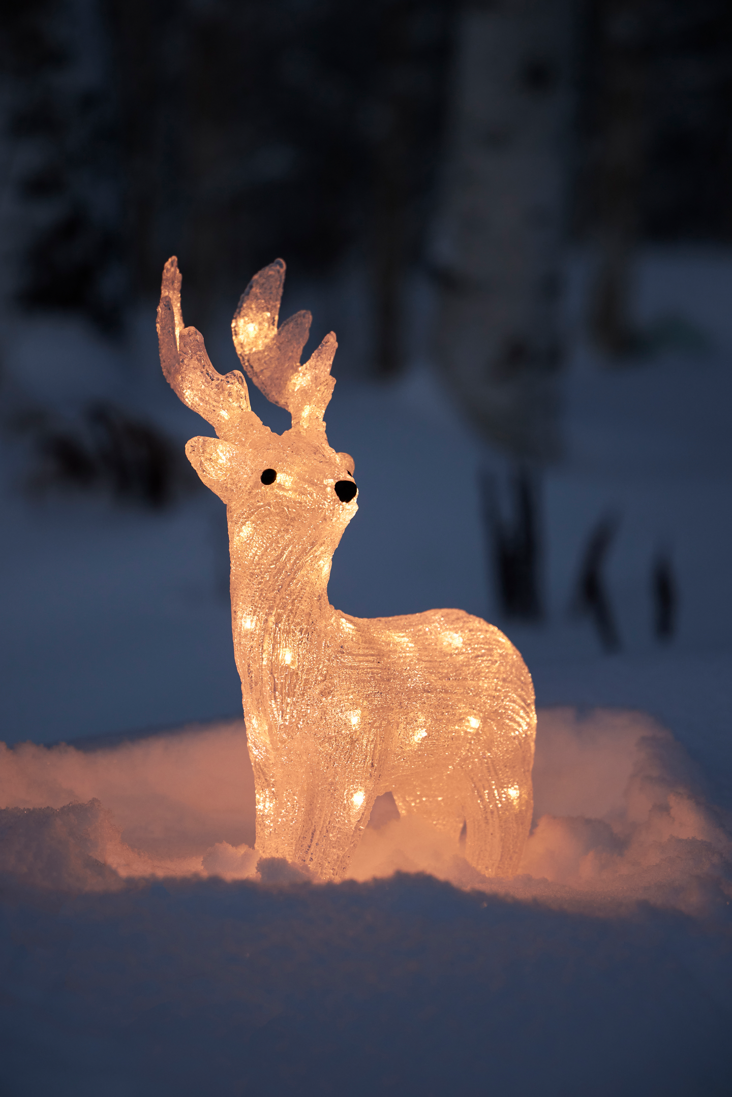 Poro Cello 39cm IP44