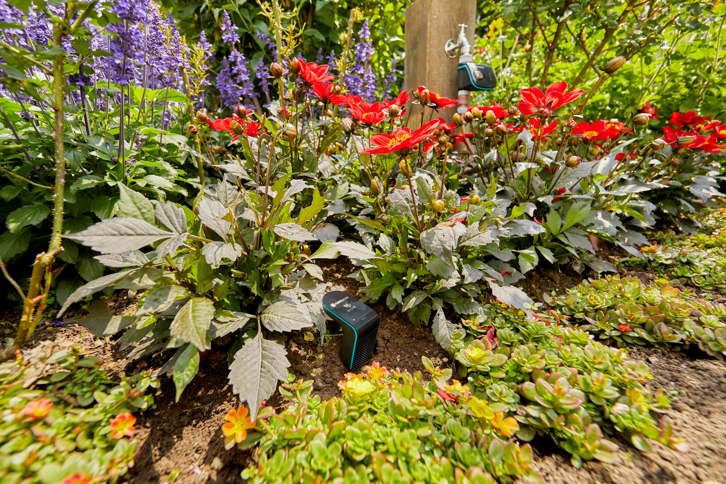 SMART GARDENA SENSOR FÖR BEVATTNING