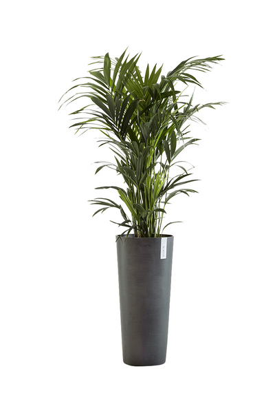 Ruukku Ecopots Amsterdam korkea 76cm tummanharmaa