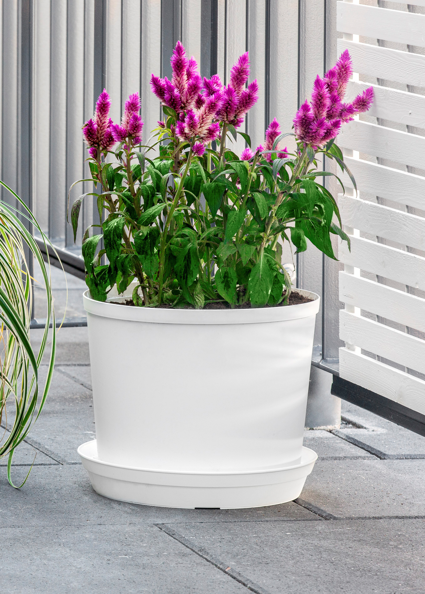 Istutusruukku Orthex Cultivate 18cm valkoinen