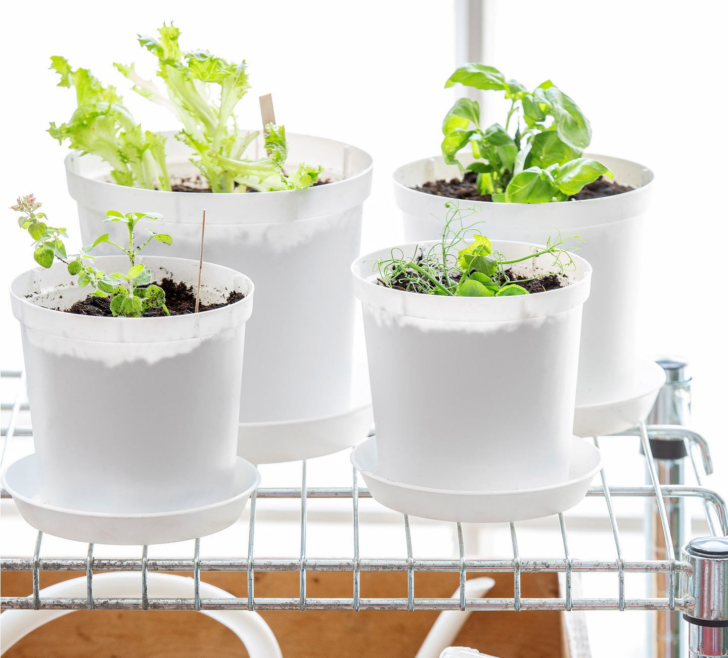 Istutusruukku Orthex Cultivate 21cm valkoinen