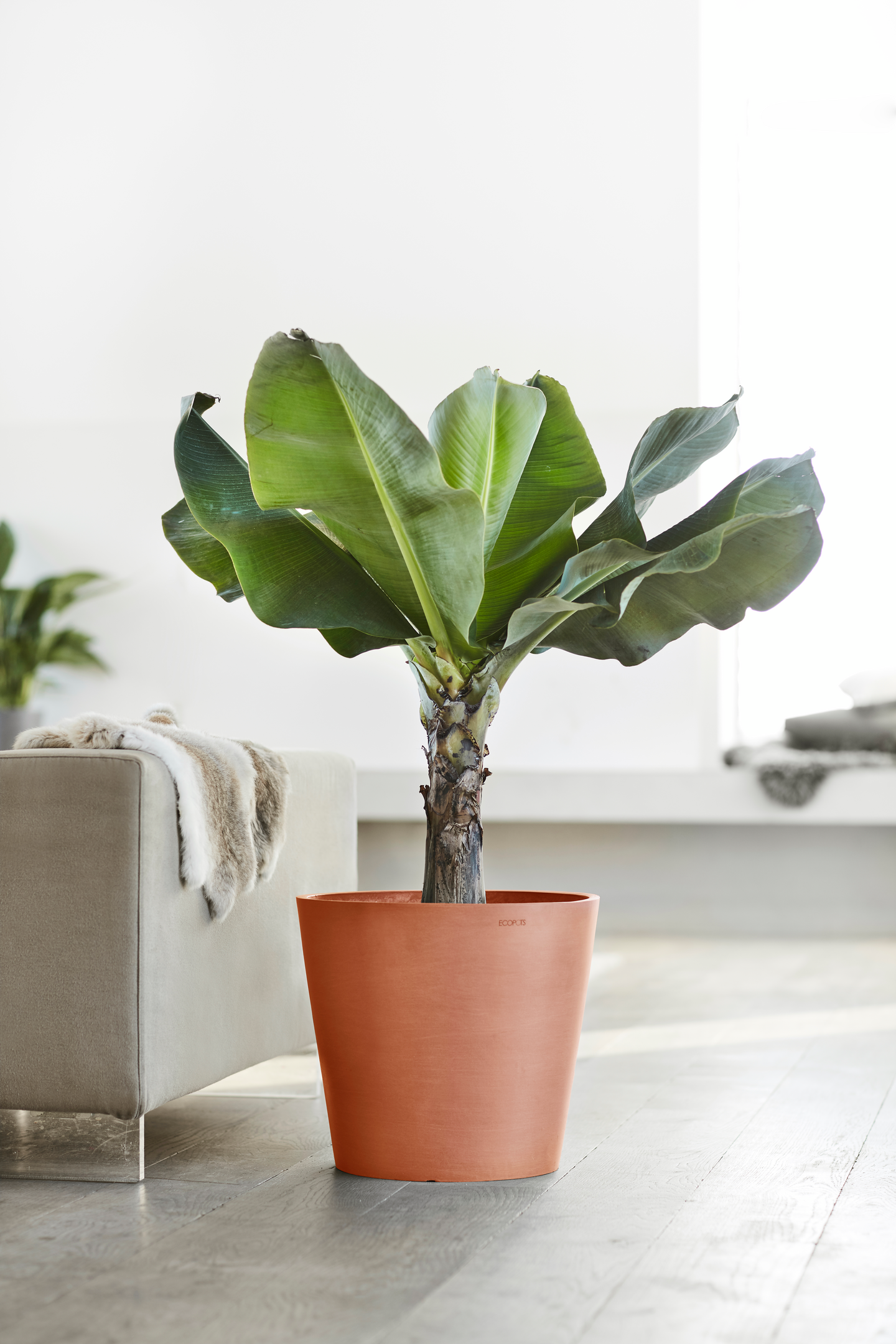 Ruukku Ecopots Amsterdam 30cm terracotta