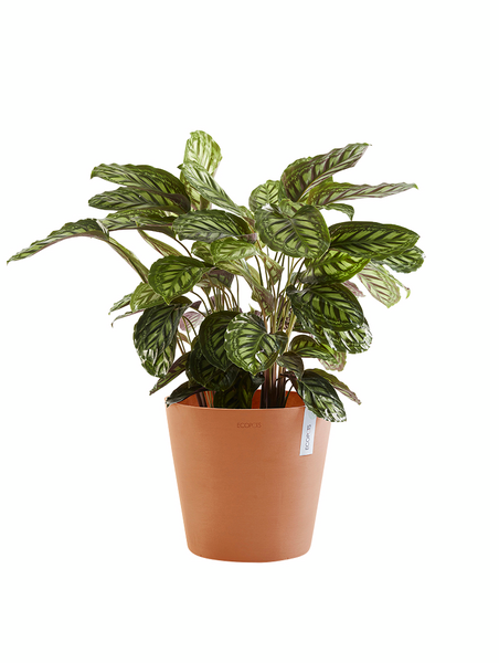 Ruukku Ecopots Amsterdam 30cm terracotta