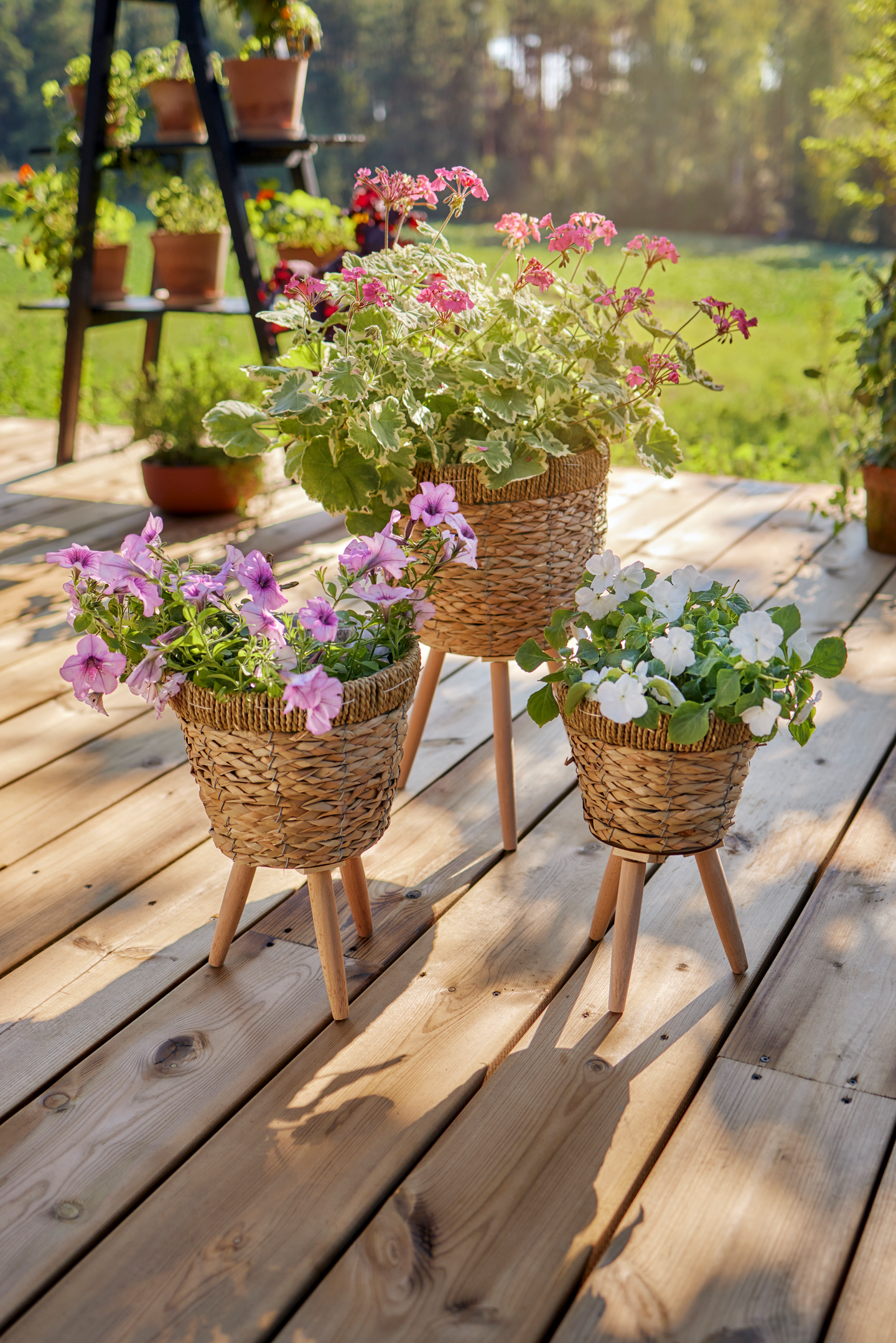 Ruukku Cello Jawa jaloilla 25x20/42cm