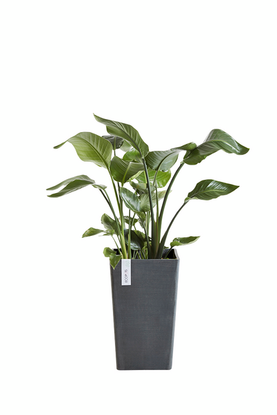 Ruukku Ecopots Rotterdam keskikorkea 56cm tummanharmaa