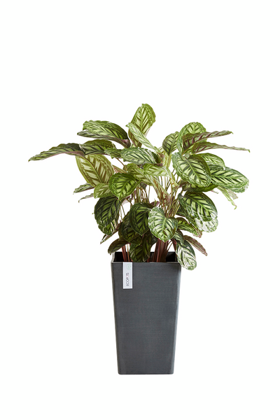 Ruukku Ecopots Rotterdam keskikorkea 56cm tummanharmaa