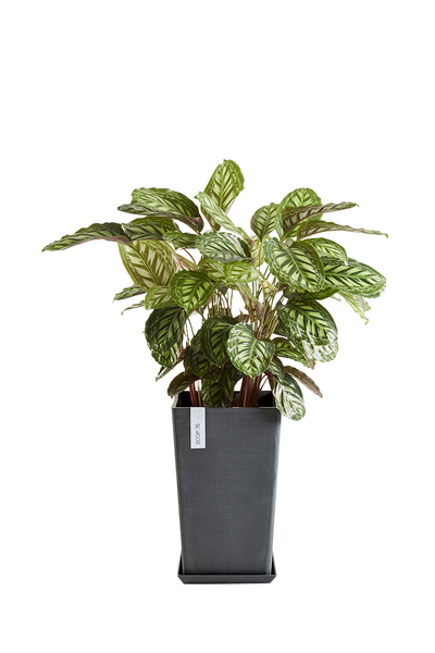 Ruukku Ecopots Rotterdam keskikorkea 56cm tummanharmaa