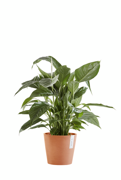 Ruukku Ecopots Amsterdam 20cm terracotta