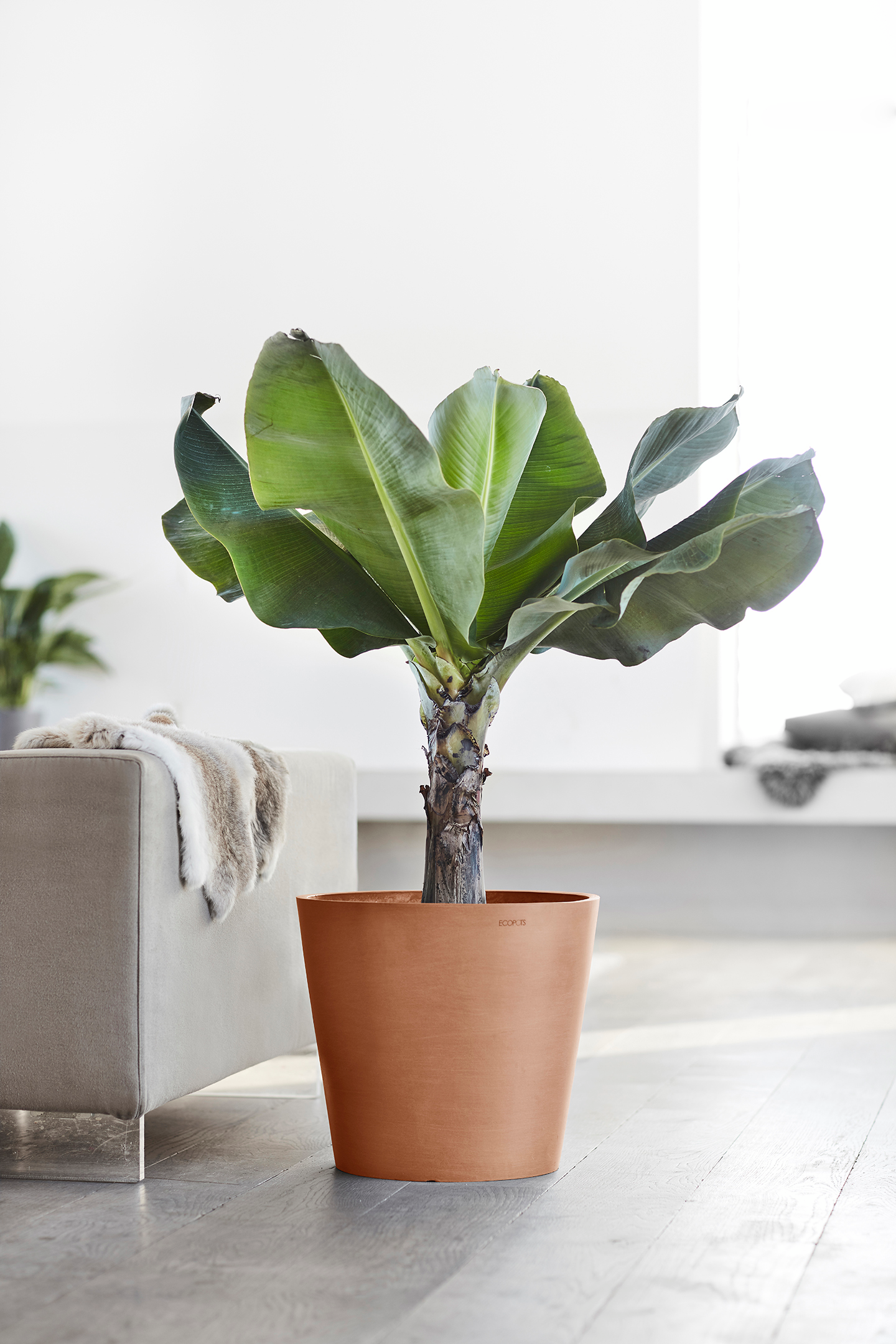 Ruukku Ecopots Amsterdam 40cm terracotta