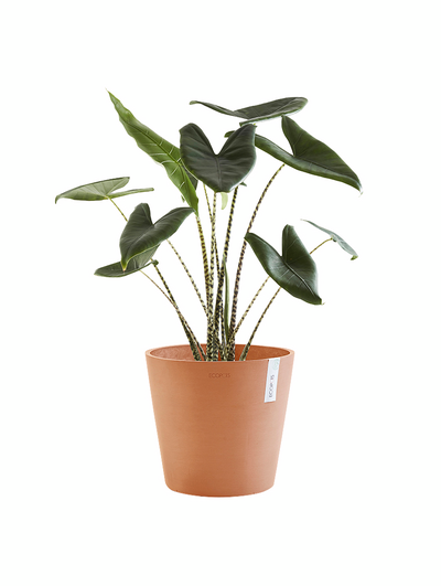 Ruukku Ecopots Amsterdam 40cm terracotta