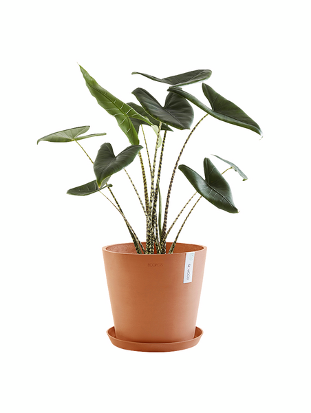 Ruukku Ecopots Amsterdam 40cm terracotta