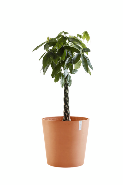 Ruukku Ecopots Amsterdam 50cm terracotta