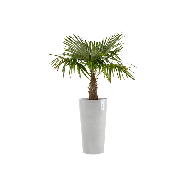 Ruukku Amsterdam keskikorkea 66cm valkoharmaa