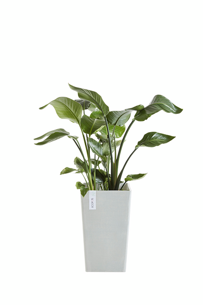 Ruukku Ecopots Rotterdam keskikorkea 56cm valkoharmaa