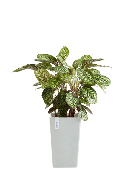 Ruukku Ecopots Rotterdam keskikorkea 56cm valkoharmaa