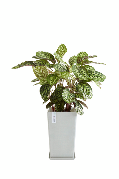 Ruukku Ecopots Rotterdam keskikorkea 56cm valkoharmaa