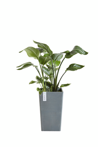 Ruukku Ecopots Rotterdam keskikorkea 56cm harmaa