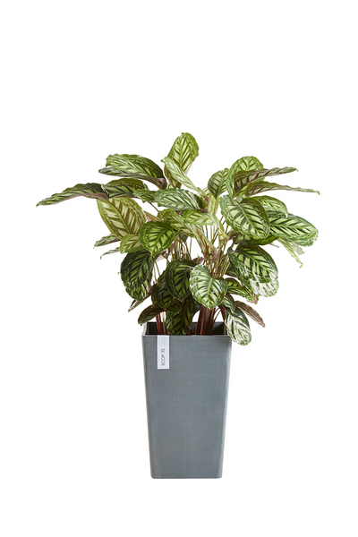 Ruukku Ecopots Rotterdam keskikorkea 56cm harmaa