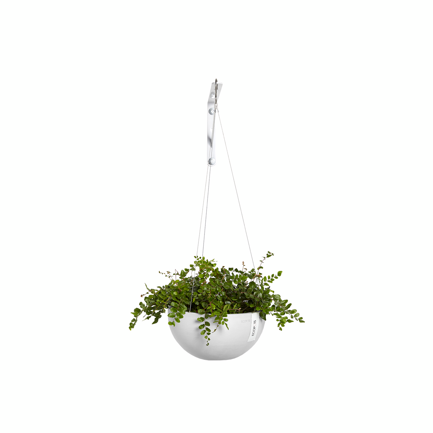Amppeli Ecopots Brysseli 27cm valkoinen