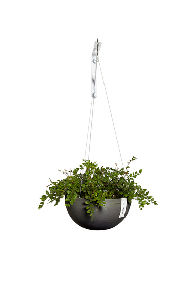 Amppeli Ecopots Brysseli 33cm tummanharmaa