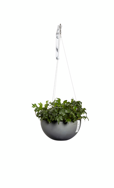 Amppeli Ecopots Brysseli 33cm harmaa