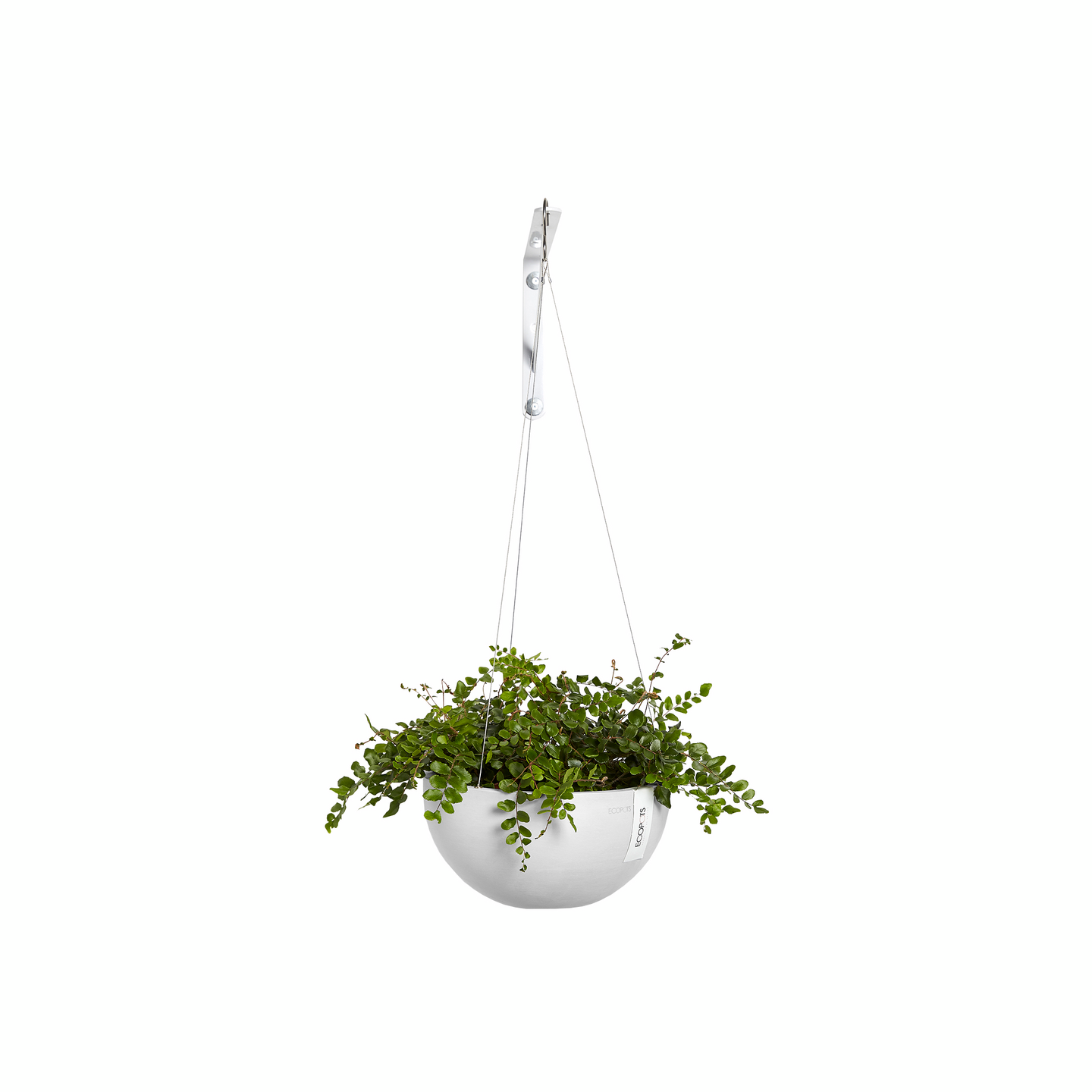 Amppeli Ecopots Brysseli 33cm valkoinen