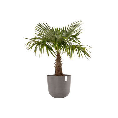 Ruukku Ecopots Oslo 55cm taupe