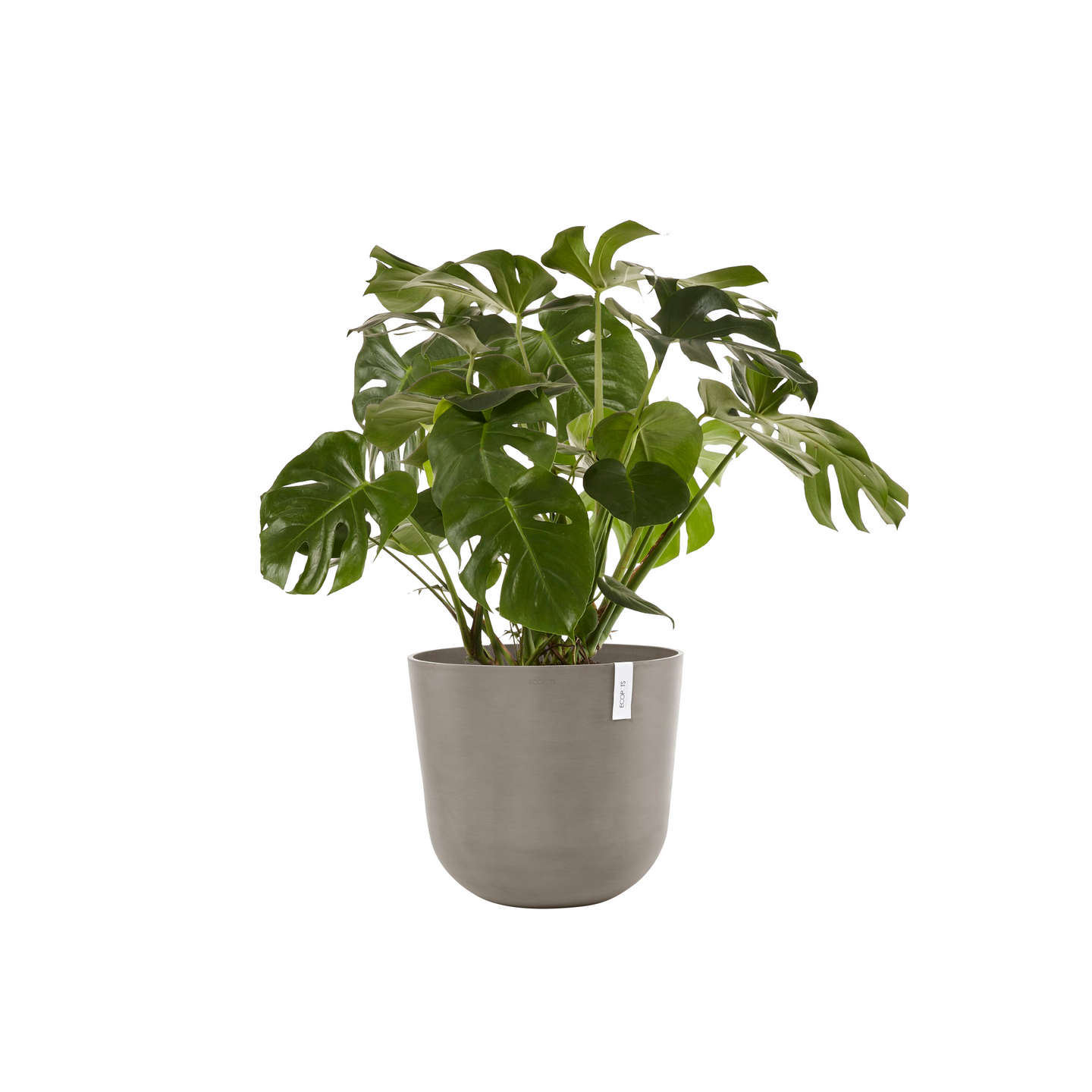 Ruukku Ecopots Oslo 55cm taupe