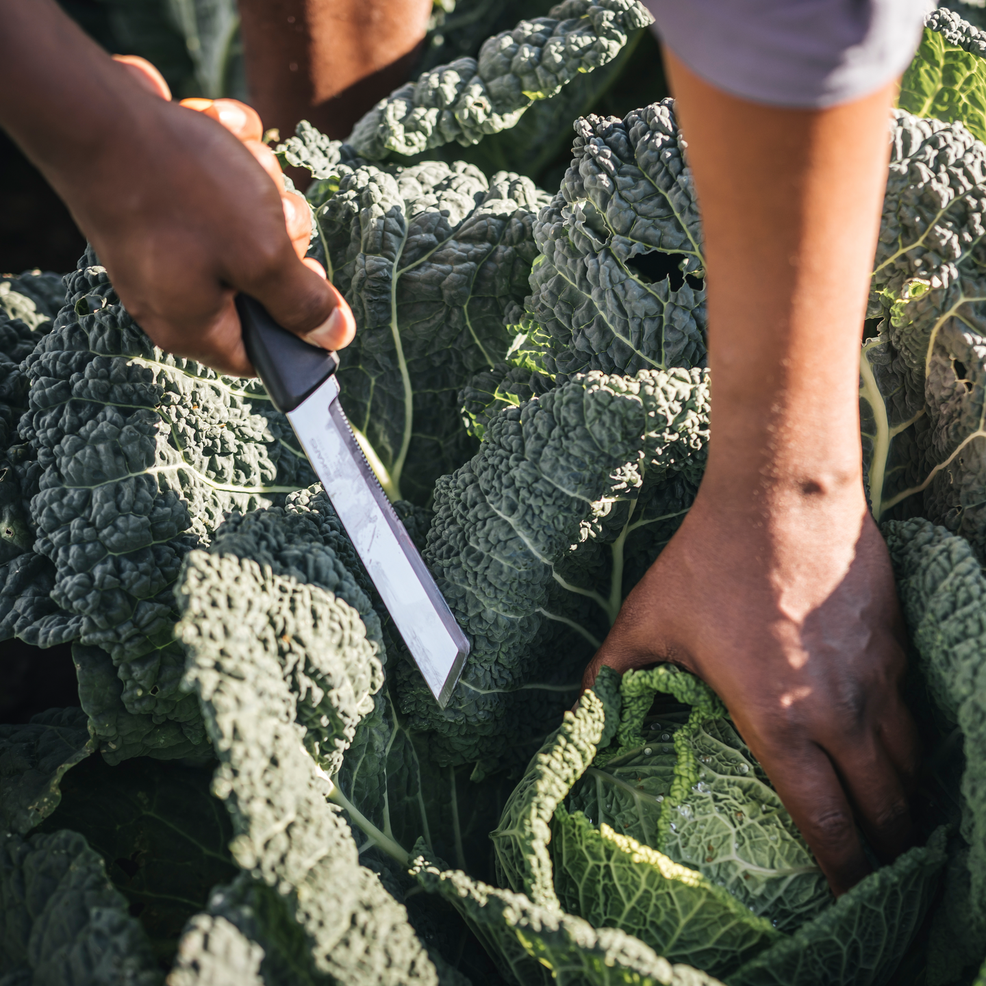 Puutarhaveitsi Fiskars X-series K82