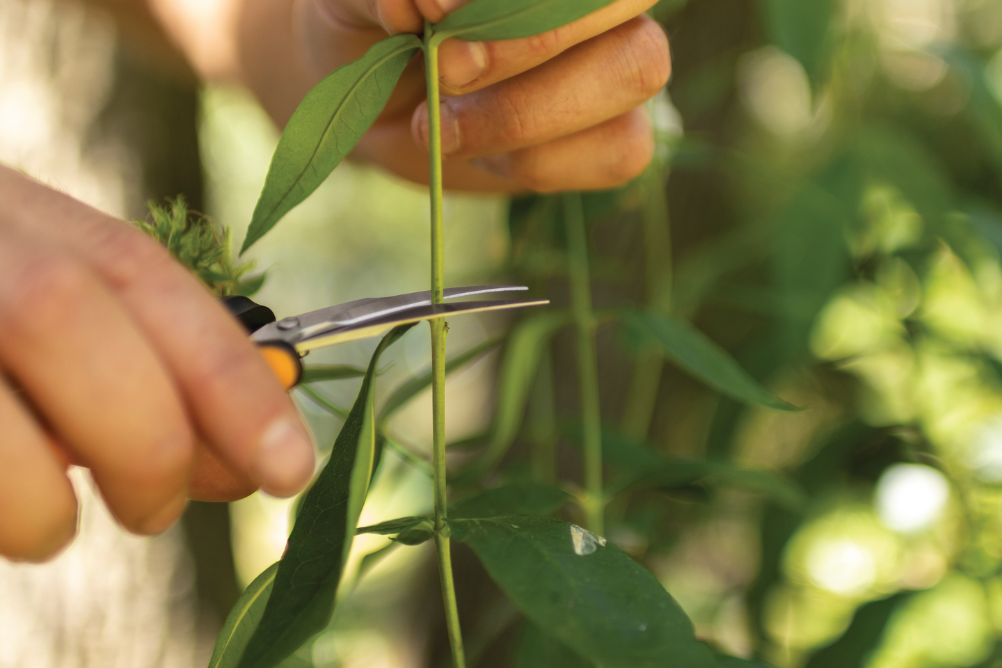 Microtip sakset Solid SP160 Fiskars