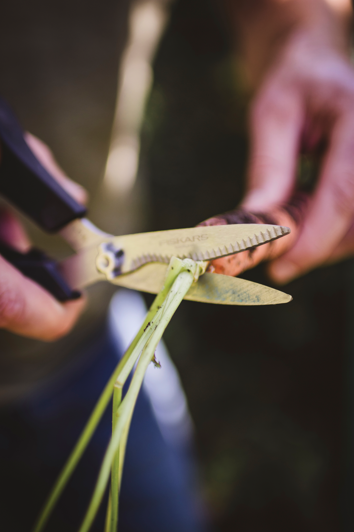 Vihannessakset Fiskars SP240